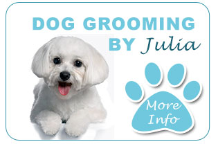 dog grooming rubery