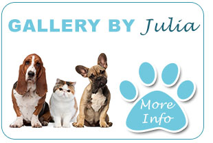 Julia's shop pet spa